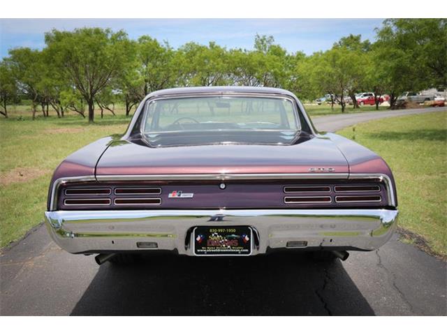 1967 Pontiac GTO (CC-1091448) for sale in Fredericksburg, Texas