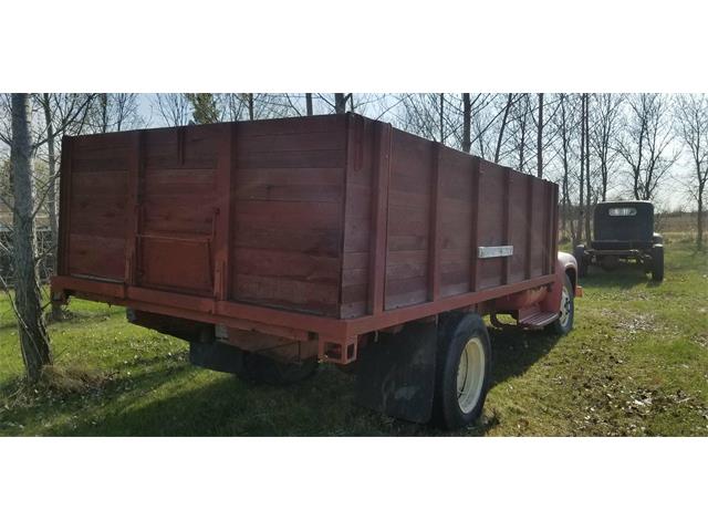 1955 Ford F600 (CC-1091638) for sale in Thief River Falls, Minnesota