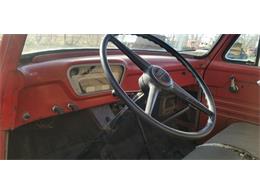 1955 Ford F600 (CC-1091638) for sale in Thief River Falls, Minnesota