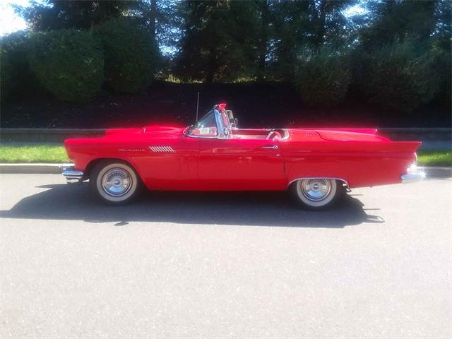 1957 Ford Thunderbird (CC-1092665) for sale in Dix Hills, N.Y.