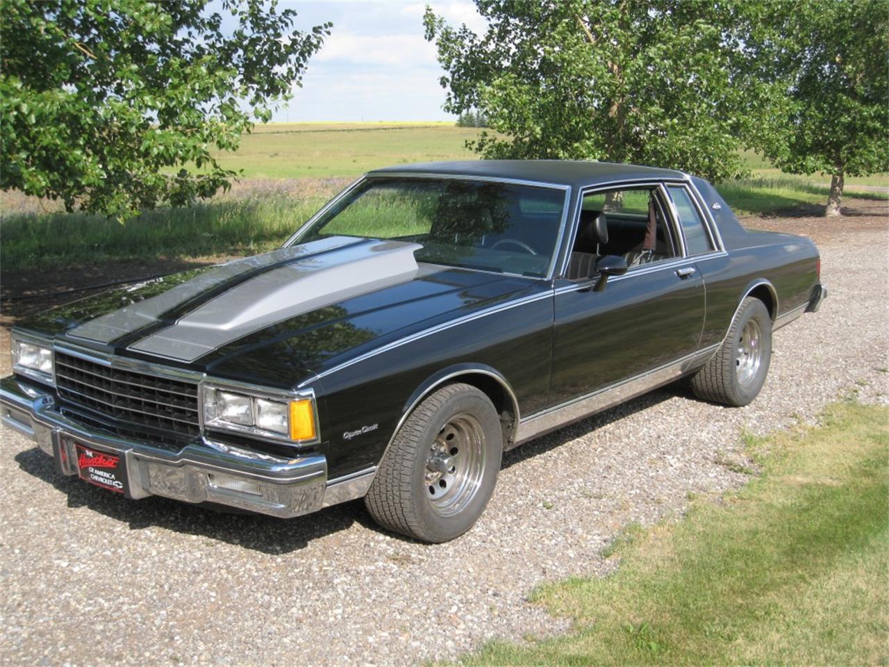 1980 Chevrolet Caprice for Sale | ClassicCars.com | CC-1090031