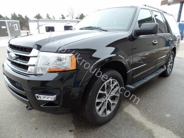 2015 Ford Expedition (CC-1093302) for sale in Lake Crystal, Minnesota