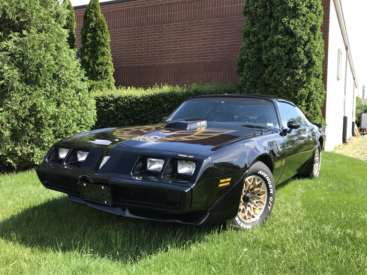 1981 Pontiac Firebird Trans Am for Sale CC1094358