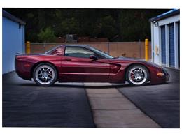 2002 Chevrolet Corvette (CC-1094732) for sale in Costa Mesa, California