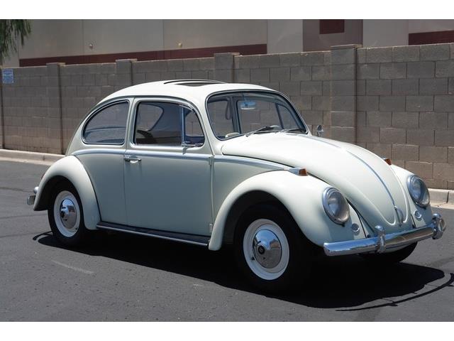 1965 Volkswagen Beetle (CC-1095362) for sale in Phoenix, Arizona