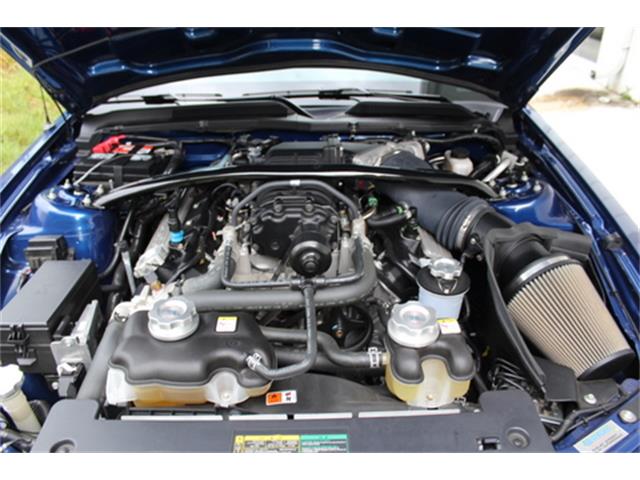 2009 Ford Shelby GT500  (CC-1096158) for sale in Roswell, Georgia
