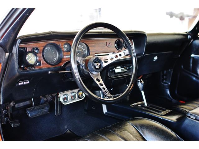 1980 Pontiac Firebird (CC-1096356) for sale in Lakeland, Florida
