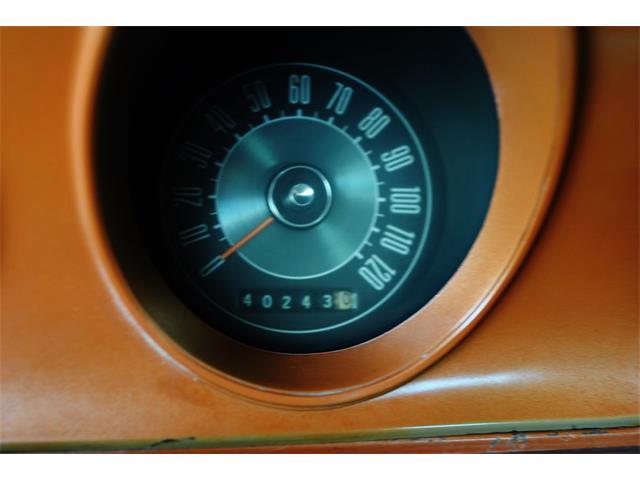 1974 Mercury Comet (CC-1096564) for sale in Lakeland, Florida