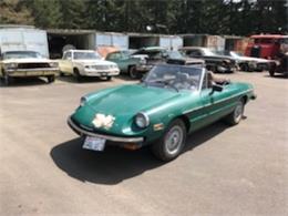 1979 Alfa Romeo Spider (CC-1090686) for sale in Tacoma, Washington