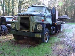 1960 Dodge Pickup (CC-1090710) for sale in Tacoma, Washington