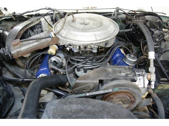1978 Ford Bronco (CC-1097178) for sale in Denver , Colorado