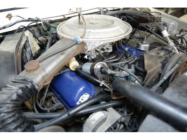 1978 Ford Bronco (CC-1097178) for sale in Denver , Colorado