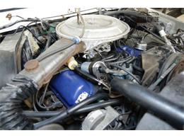1978 Ford Bronco (CC-1097178) for sale in Denver , Colorado