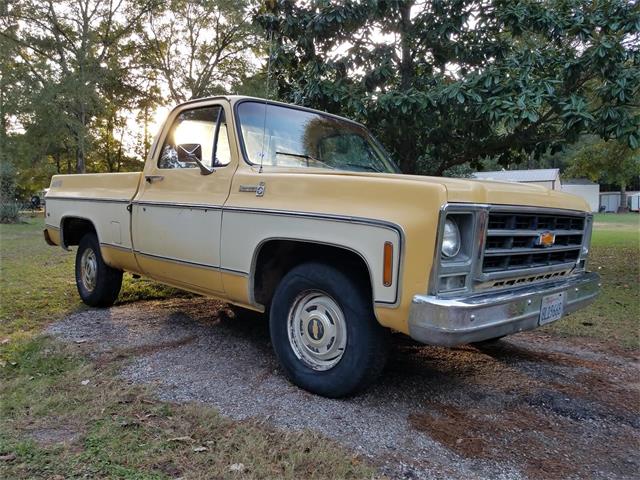 1979 Chevrolet C10 (CC-1097231) for sale in Conroe, Texas
