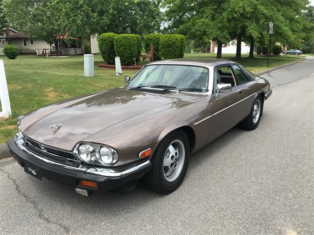1986 Jaguar XJS (CC-1097280) for sale in MILL HALL, Pennsylvania