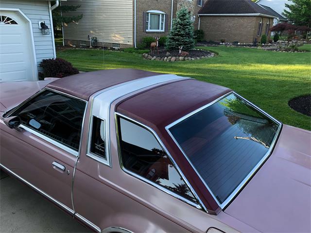 1977 Ford Thunderbird (CC-1098911) for sale in North Royalton, Ohio