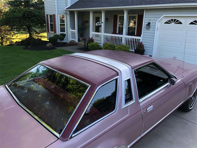 1977 Ford Thunderbird (CC-1098911) for sale in North Royalton, Ohio