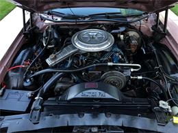 1977 Ford Thunderbird (CC-1098911) for sale in North Royalton, Ohio