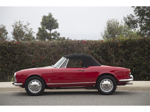 1960 Alfa Romeo Giulietta Spider Veloce (CC-1099062) for sale in La Jolla, California