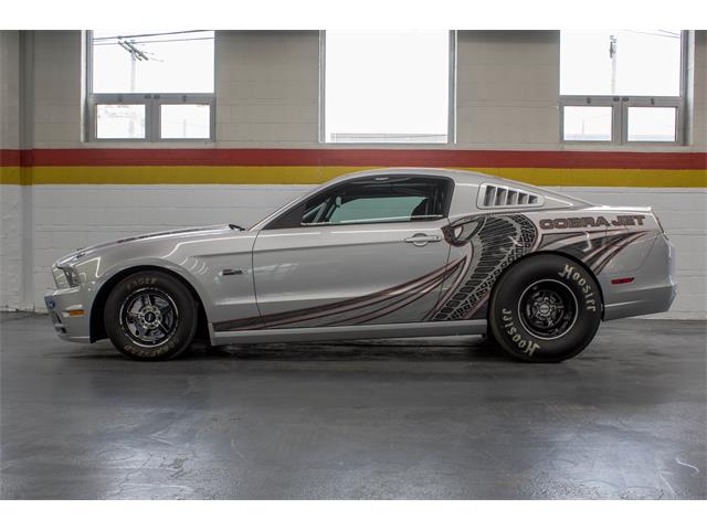 2013 Ford Cobra Jet (CC-1099086) for sale in Montreal, Quebec