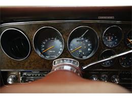 1979 Mercury Cougar (CC-1099411) for sale in Denver , Colorado
