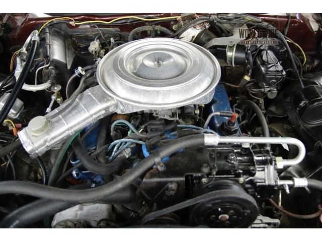 1979 Mercury Cougar (CC-1099411) for sale in Denver , Colorado