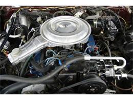 1979 Mercury Cougar (CC-1099411) for sale in Denver , Colorado