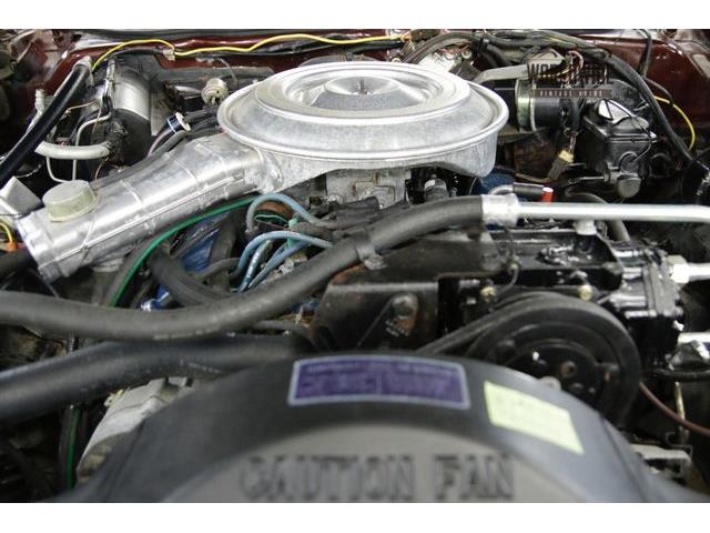 1979 Mercury Cougar (CC-1099411) for sale in Denver , Colorado