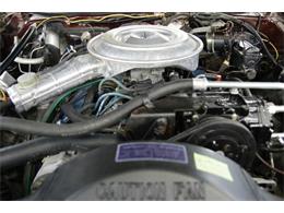 1979 Mercury Cougar (CC-1099411) for sale in Denver , Colorado