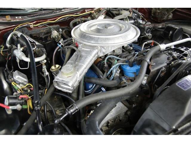 1979 Mercury Cougar (CC-1099411) for sale in Denver , Colorado