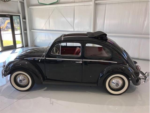 1956 Volkswagen Beetle (CC-1099659) for sale in Punta Gorda, Florida