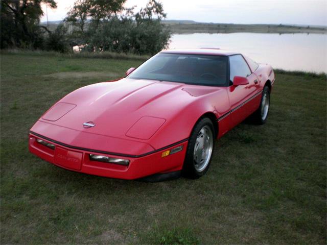 1989 Chevrolet Corvette (CC-1099931) for sale in Pollock, South Dakota