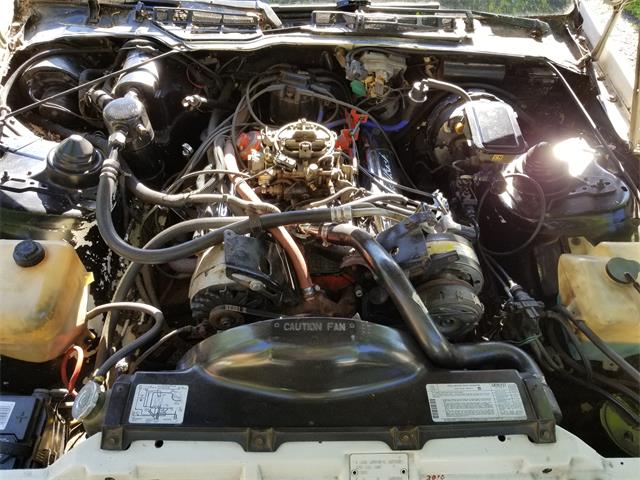 1982 Chevrolet Camaro Z28 (CC-1101424) for sale in Liverpool, New York