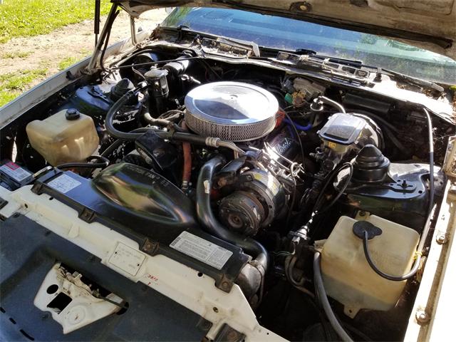 1982 Chevrolet Camaro Z28 (CC-1101424) for sale in Liverpool, New York