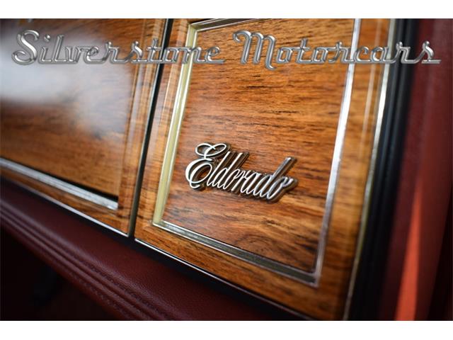 1982 Cadillac Eldorado (CC-1101719) for sale in North Andover, Massachusetts