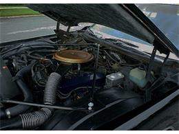 1975 Cadillac Fleetwood (CC-1101925) for sale in Lakeland, Florida