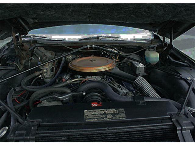 1975 Cadillac Fleetwood (CC-1101925) for sale in Lakeland, Florida
