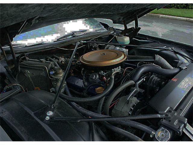 1975 Cadillac Fleetwood (CC-1101925) for sale in Lakeland, Florida