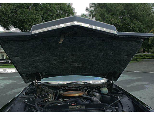 1975 Cadillac Fleetwood (CC-1101925) for sale in Lakeland, Florida