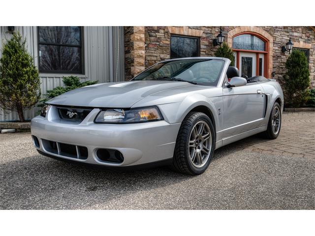 2003 Ford Mustang SVT Cobra (CC-1100208) for sale in Waterloo, Ontario