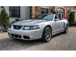 2003 Ford Mustang SVT Cobra (CC-1100208) for sale in Waterloo, Ontario