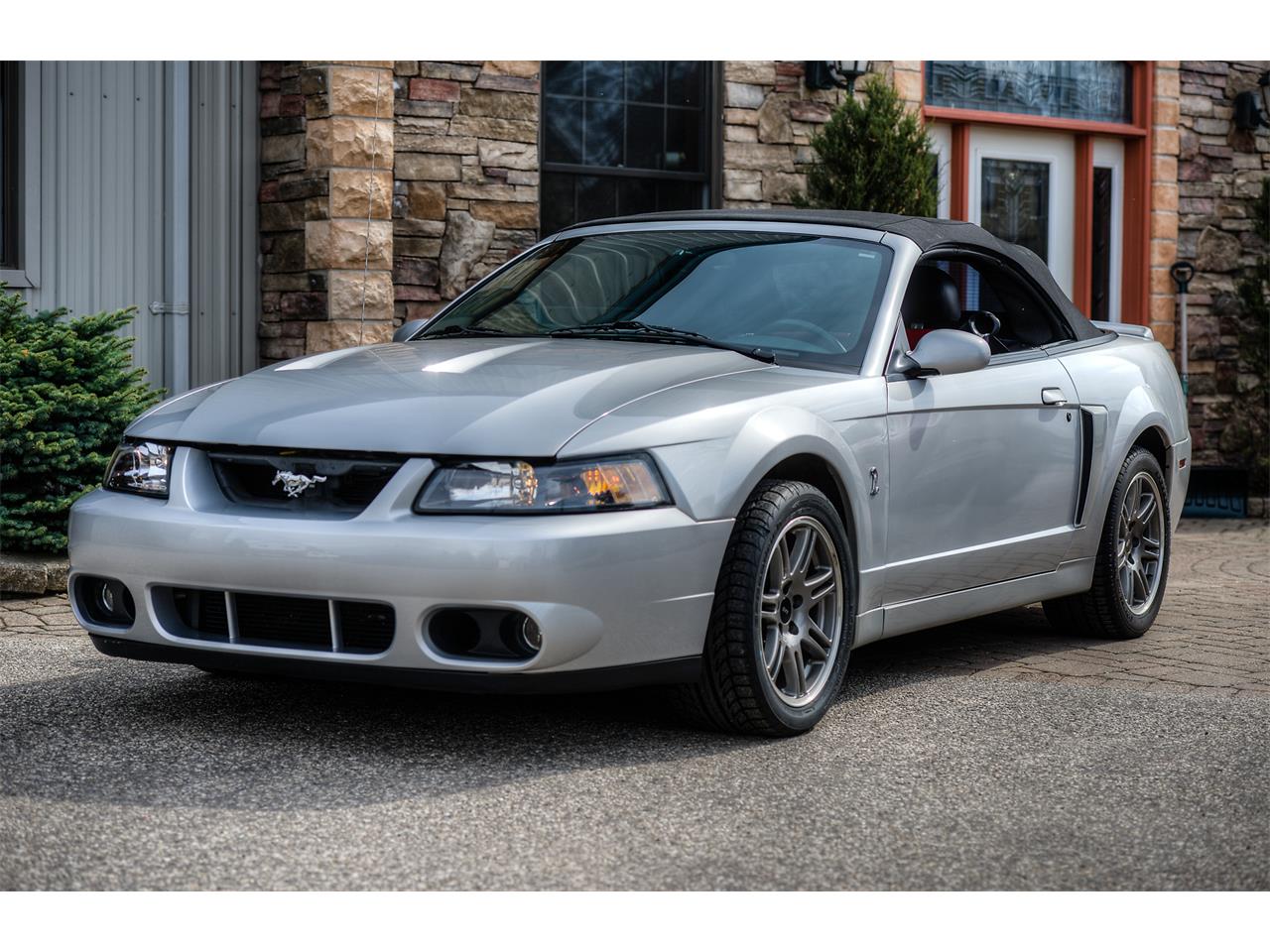 2003 Ford Mustang SVT Cobra for Sale | ClassicCars.com | CC-1100208