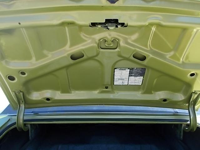 1971 Chevrolet Monte Carlo (CC-1102888) for sale in Skiatook, Oklahoma