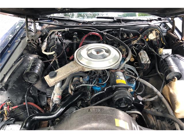 1979 Lincoln Continental (CC-1102932) for sale in Uncasville, Connecticut