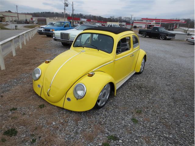 1964 Volkswagen Beetle (CC-1103247) for sale in Greensboro, North Carolina