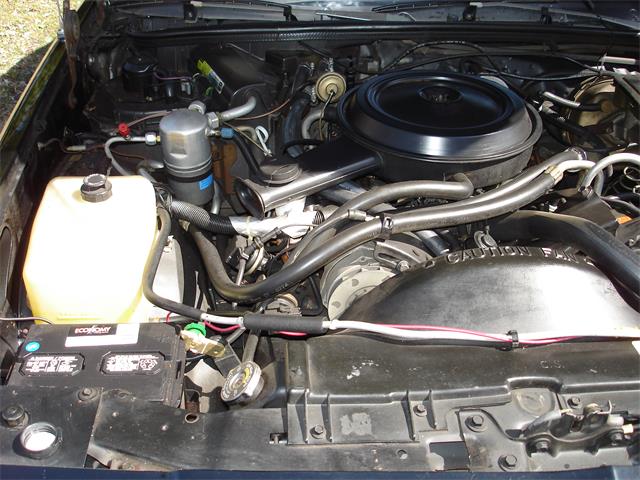 1984 Chevrolet El Camino SS (CC-1103404) for sale in Roseville, Minnesota