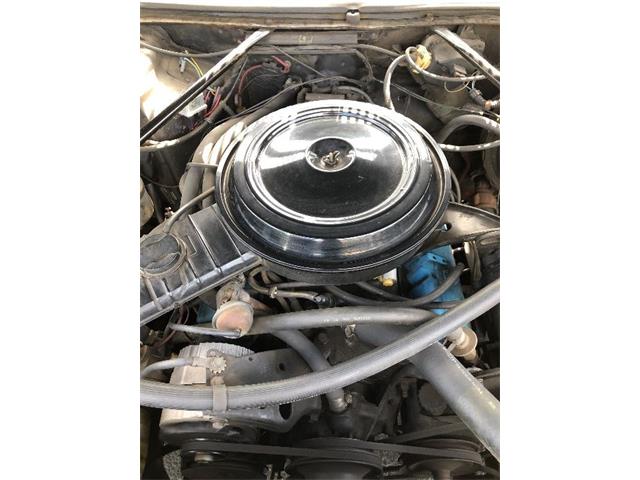 1977 Chevrolet El Camino (CC-1103906) for sale in Phoenix, Arizona