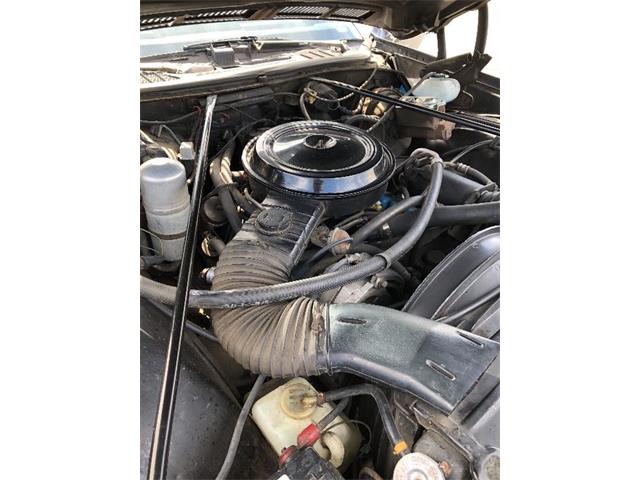 1977 Chevrolet El Camino (CC-1103906) for sale in Phoenix, Arizona