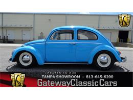 1964 Volkswagen Beetle (CC-1103945) for sale in Ruskin, Florida