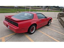 1989 Pontiac Firebird Trans Am (CC-1103948) for sale in Annandale, Minnesota